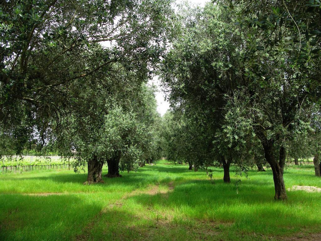Masseria San Polo Squinzano Εξωτερικό φωτογραφία